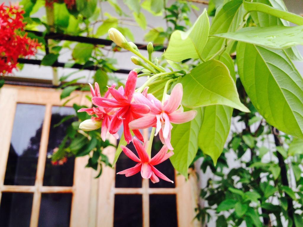 Manik Home Stay Kudapaduwa Экстерьер фото